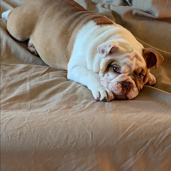 Our Baby Girl Miss Bella B - Picture 16 of 16